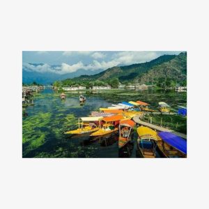5-Days Kashmir Tour includes Accommodation and Private Transportation