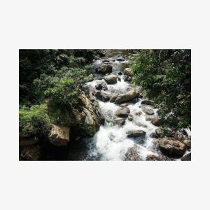 Hike for 4 days to the Lost City, Santa Marta