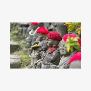 Full-Day Private Guided Tour in Hiroshima, Family of 4